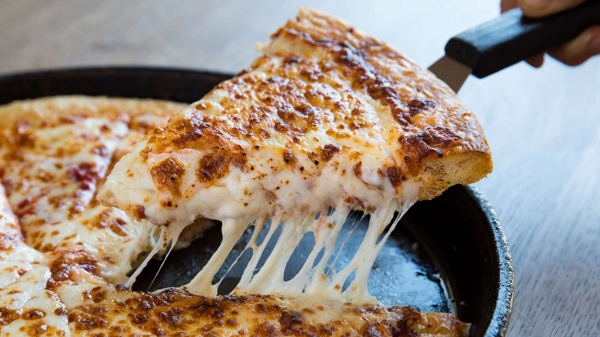 会去处皇家 会去处皇家