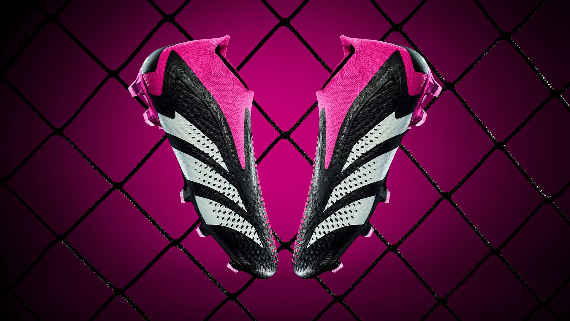 迅速洞察对 迅速洞察对