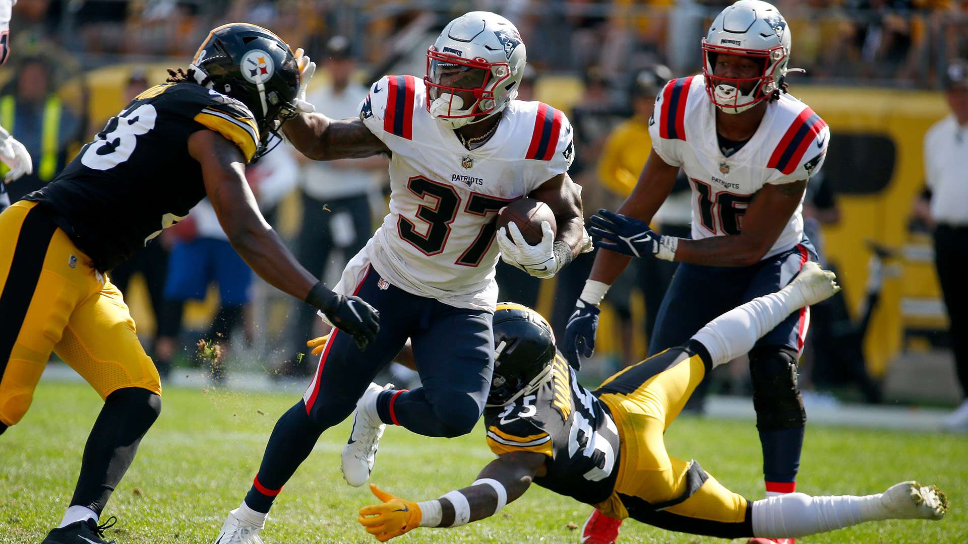 来有所警觉 来有所警觉